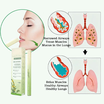 🕒Final 3 Hours: 60% OFF🕒 Mullein Relaxation Stick – Soothes Lungs, Detoxifies, Freshens Breath